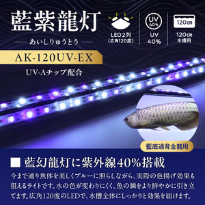 スリム&高耐久!金龍を美しく、UV-Aチップ配合の水中LED|AK-120UV-EX 藍底 金龍 ワイルドブルー 照射 水中 アロワナ UVチップ 水槽ライト テンニングライト LED ライト 照明 水中照明 光 綺麗 強化ガラス 1年保証 簡単 防水 吸盤 設置 でんらい インテリア 雑貨 愛知県 小牧市 送料無料 [172C15]