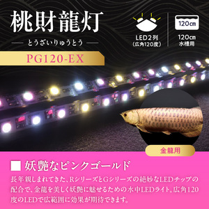金龍の鱗を美しく照らす!ピンクゴールドの水中アロワナライト|PG120-EX 金龍 ピンクゴールド 照射 水中 アロワナ 水槽ライト テンニングライト LED ライト 照明 水中照明 光 綺麗 美観 強化ガラス 耐久性 1年保証 吸盤 簡単 設置 でんらい インテリア 雑貨 愛知県 小牧市 送料無料 [172C16]