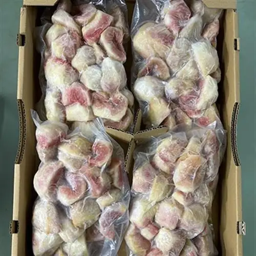 静岡県掛川産　ミズノ農園の冷凍いちじく (皮なし)【桝井ドーフィン】500g×4袋【配送不可地域：離島・北海道・沖縄県・四国・九州】【1646076】