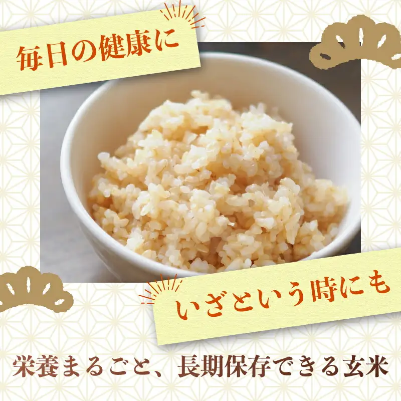【1週間以内発送】 コシヒカリ 玄米 10kg 令和7年産 玄米 南国市 