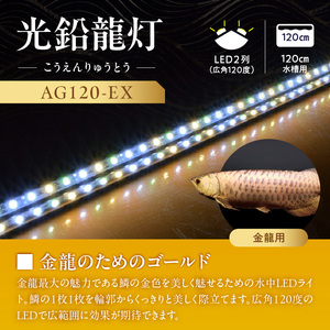水槽全体を明るく照らし、鱗を際立たせる!金龍専用の高輝度水中ライト|AG120-EX 金龍 専用 プレミアムゴールド 水中 アロワナ 高輝度 水槽ライト テンニングライト グラデーション 3色 LED ライト 照明 水中照明 光 綺麗 強化ガラス 吸盤 1年保証 簡単 設置 でんらい インテリア 雑貨 愛知県 小牧市 送料無料 [172C17]