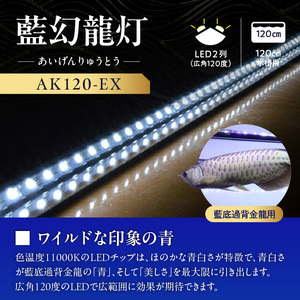 一瞬で綺麗に魅せる!金龍の青を最大限に強調する水中LEDライト|AK120-EX 金龍 専用 ワイルドブルー 青 水中 アロワナ 高輝度 水槽ライト テンニングライト LED ライト 照明 水中照明 光 綺麗 透明感 強化ガラス 吸盤 1年保証 簡単 設置 でんらい インテリア 雑貨 愛知県 小牧市 送料無料 [172C18]