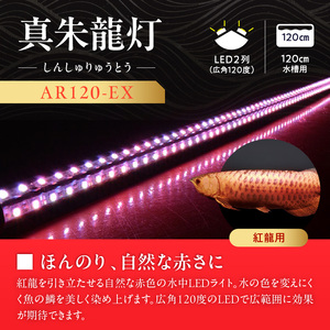 変化を体感!水を赤くせず、紅龍だけ美しく魅せる水中LEDライト|AR120-EX 紅龍 ナチュラルレッド 赤 水中 アロワナ 水槽ライト テンニングライト LED ライト 照明 水中照明 光 綺麗 強化ガラス 吸盤 1年保証 簡単 設置 でんらい インテリア 雑貨 愛知県 小牧市 送料無料 [172C19]
