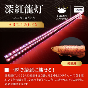 紅龍オーナー必見!一瞬でアロワナを美しく魅せる水中LEDライト|AR2-120-EX 紅龍 専用 スーパーレッド 赤 照射 水中 アロワナ 水槽ライト テンニングライト LED ライト 照明 水中照明 光 綺麗 強化ガラス 耐久性 吸盤 1年保証 簡単 設置 でんらい インテリア 雑貨 愛知県 小牧市 送料無料 [172C20]