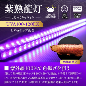 紫外線100%LEDで紅龍・金龍の色彩を引出す水中ライト|UVA100-120EX 紅龍 金龍 ナイトメロー 水中 アロワナ 水槽ライト テンニングライト 紫外線 100% LED ライト 照明 水中照明 光 綺麗 強化ガラス 吸盤 1年保証 簡単 設置 でんらい インテリア 雑貨 愛知県 小牧市 送料無料 [172C22]