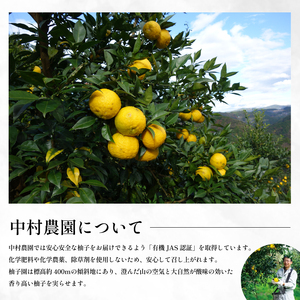 先行予約 柚子 訳あり 有機青 ゆず 1.5kg 【 ゆず 】