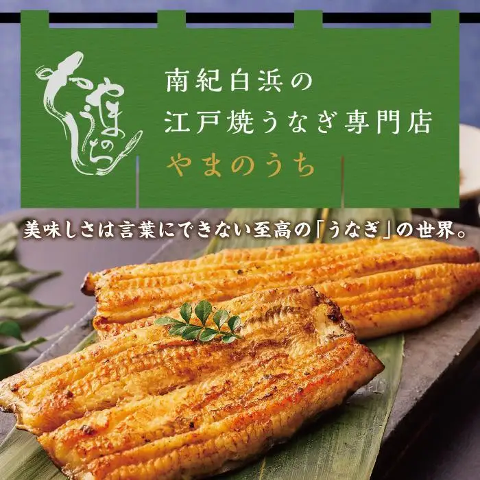 〈うなぎ専門店やまのうち〉江戸焼き うなぎ 白焼き 2尾