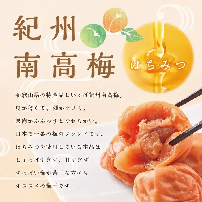 【定期便4回 2ヶ月に1回】紀州南高梅 訳あり はちみつ梅 塩分5％ 1.2kg（300g×4パック）