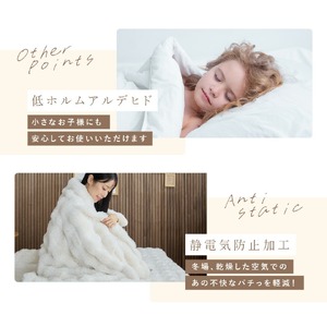 LUXZA ラビットファー パッドシーツ シングル（アイボリー）_ 敷きパッド 毛布 冬用 〔Qc075-iv〕