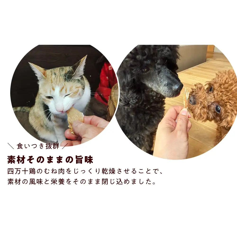 ペット おやつ ジャーキー　四万十鶏むね肉ジャーキー 50g×4袋　犬猫用 無添加 国産