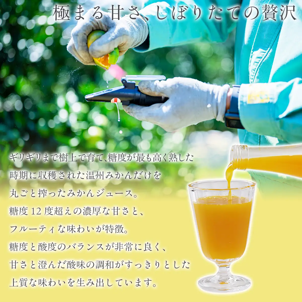 木なり「熟」みかんジュース（720ml×1本） IKTE009