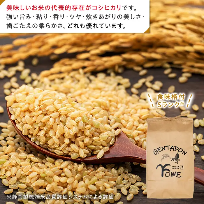 AB1-013 特別栽培米　コシヒカリ（玄米）20kg