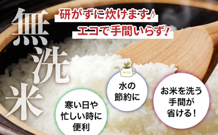 令和8年産 ひとめぼれ無洗米 5kg×11回定期便 無洗