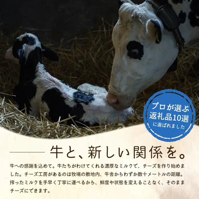 竹下牧場 takeshita farm【定期便12ヶ月】まるごとチーズセット 計560g【2402501】