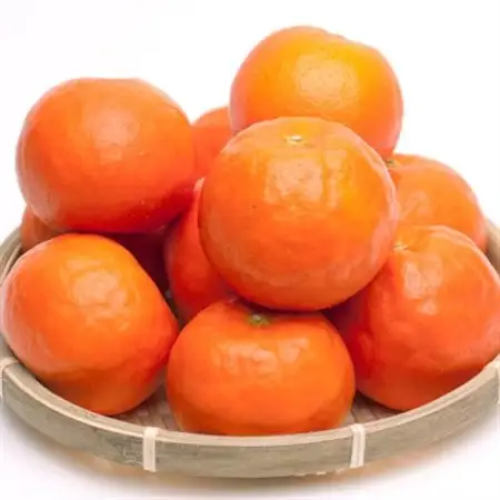 厳選 セミノールオレンジ1kg+250g(傷み補償分)【春みかん】【有田産】【光センサー食べ頃出荷】【配送不可地域：離島・北海道・沖縄県】【1651239】