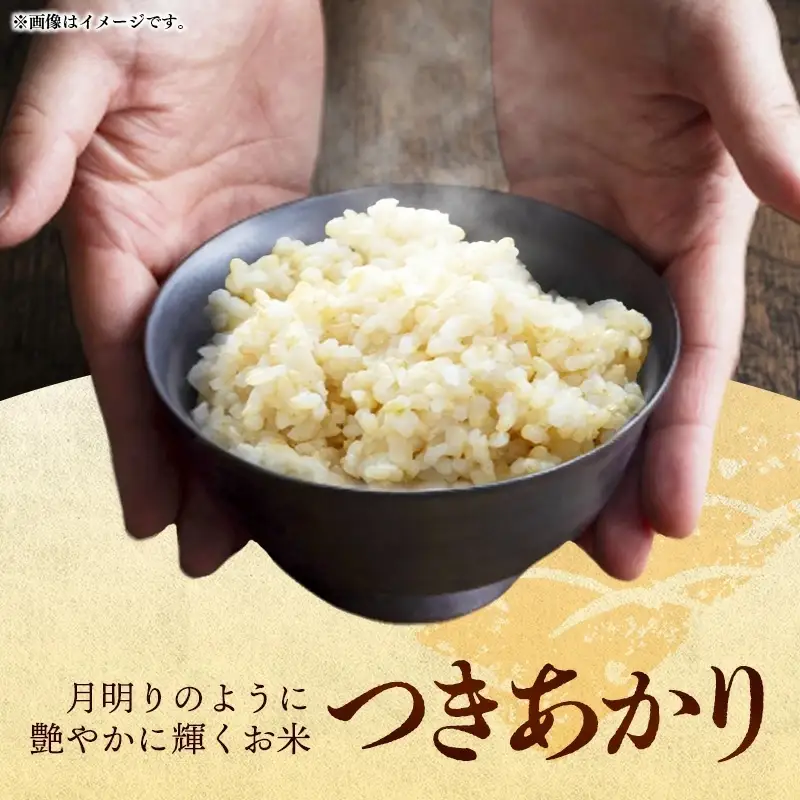  令和7年産 開運米 つきあかり（玄米）幸手産 - 5kg×2袋 10kg 福祉 応援 安心 安全 埼玉県 幸手市 幸手市産