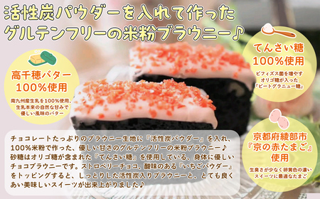 米粉☆腸活ブラウニー ～活性炭入りスイーツ～ (6個入) ふるさと納税 福知山市 スイーツ ケーキ ブラウニー チョコブラウニー 米粉 グルテンフリー 腸活 オリゴ糖 ビートグラニュー糖 活性炭パウダー 京の赤たまご ギフト ハッピースイーツ happy sweets 【fc-BA001】【ハッピー☆スイーツ工房】