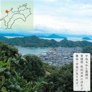【2027年1月下旬から発送予定】天草 小玉 2kg | 家庭用 蜜柑 ミカン みかん 甘い 濃厚 柑橘 人気 お取り寄せ 期間 数量 限定 愛媛 松山 【NM027】