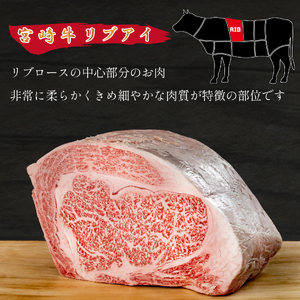 宮崎県西ノ原牧場・A4等級以上宮崎牛リブアイステーキ 400g 牛肉 宮崎牛 産地直送 ステーキ 2枚 冷凍 焼肉