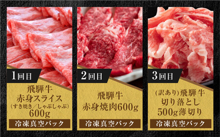 【定期便】全6回 飛騨牛 バラエティ（ステーキ /焼肉 / すき焼き/切り落とし） | 定期便 MZ105
