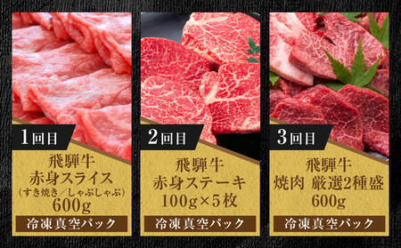 【定期便】全12回 飛騨牛 ざんまい(ステーキ/焼肉/すき焼き/切り落とし/ブロック) | 定期便 MZ106