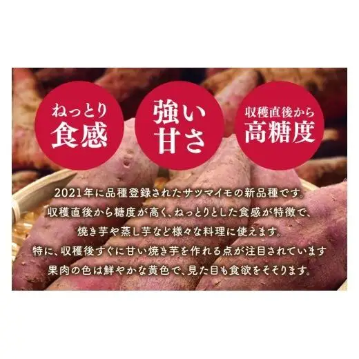 さつまいも あまはづき 5kg 甘藷 先行予約 甘い さつま芋 サツマイモ 薩摩芋 生芋 ねっとり 茨城県産 茨城県 阿見町【2026年12月上旬より順次発送予定】(90-02)