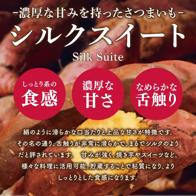 さつまいも シルクスイート 5kg 甘藷 先行予約 甘い さつま芋 サツマイモ 薩摩芋 生芋 しっとり 茨城県産 茨城県 阿見町【2026年12月上旬より順次発送予定】(90-03)