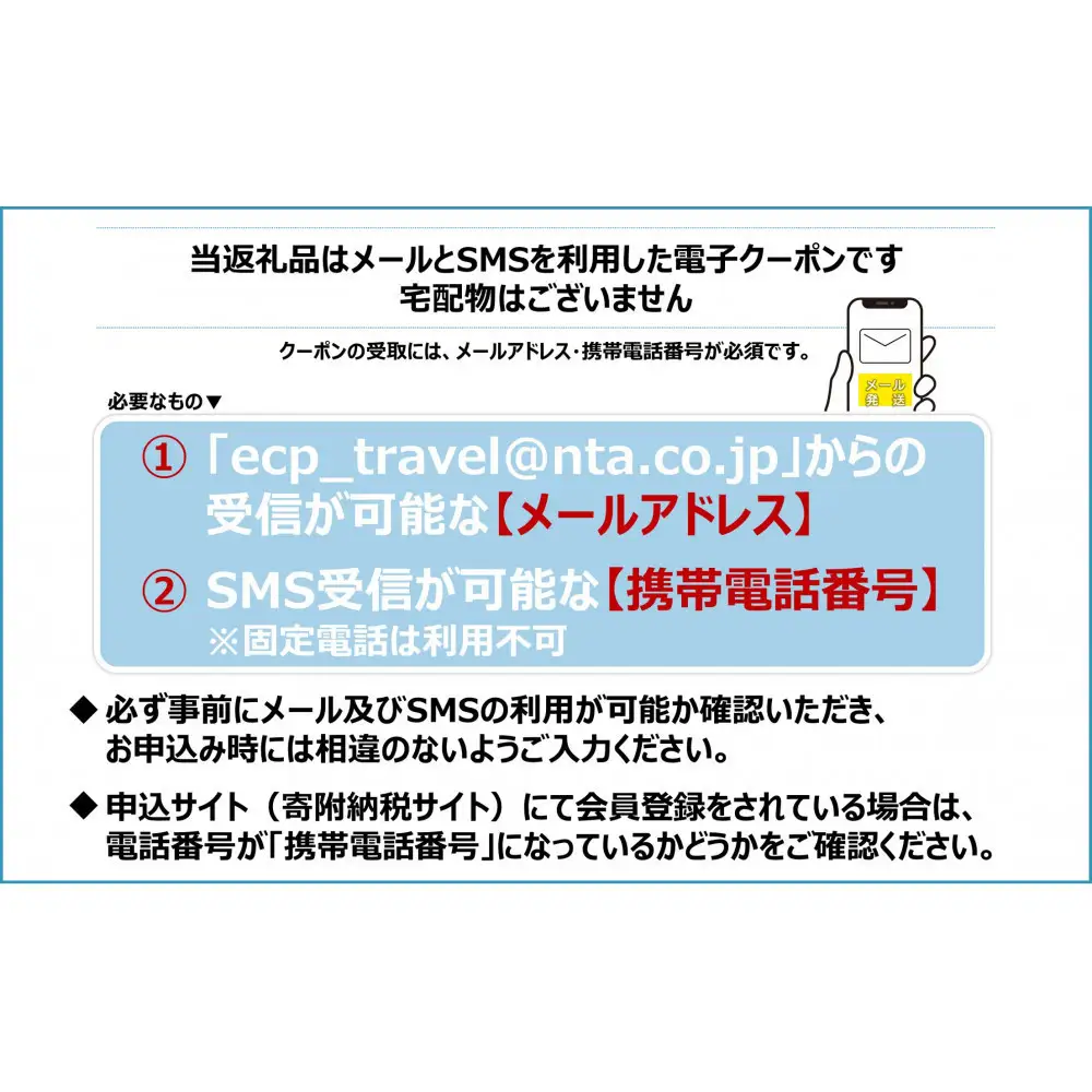 京都市日本旅行地域限定旅行クーポン30,000円分（Eメール発行）