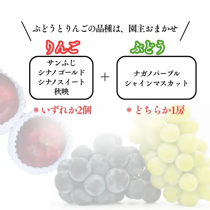 【2026年先行予約】秋の贈り物 旬のぶどう１房と季節のりんご２個詰め合わせ|フルーツセット