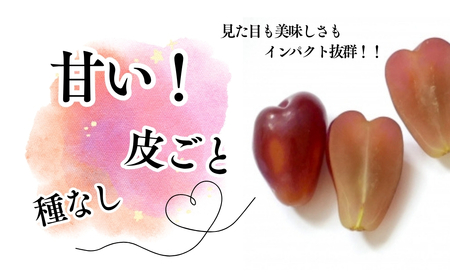 【2026年先行予約】粒がハート型！「マイハート」約1kg~1.2kg|ぶどう