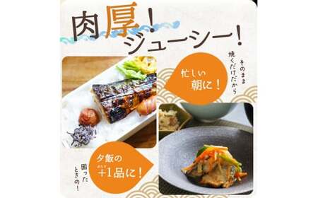 定期便【全3回/毎月お届け】大容量！ ご家庭用 塩さばフィレの定期便 / さば サバ 鯖 フィレ 切り身 切身 魚 海鮮 焼き魚 おかず 定期便【tkb353】