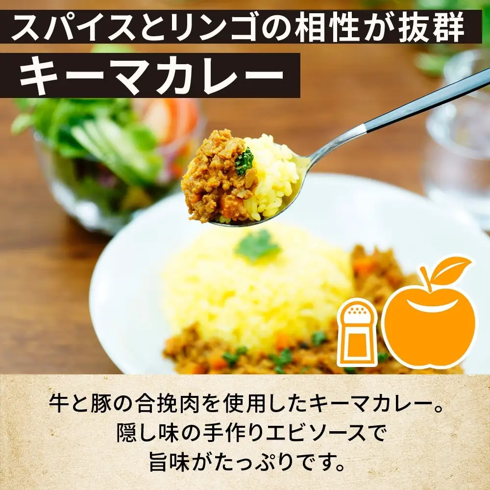 コーノスパイス キーマカレー 200g×3パック スパイスカレー 合挽肉  エビソース 小麦粉不使用 グルテンフリー スパイシー カレーライス CONO SPICE コーノコーラ 愛知県 名古屋市