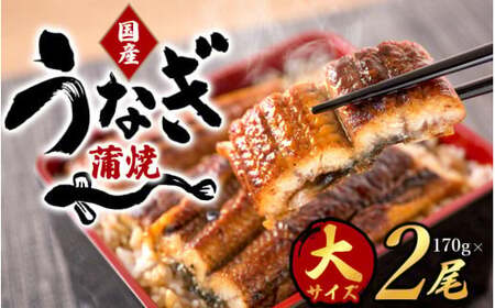 定期便【全2回】－竹－ 国産うなぎ＆熊野牛 スタミナ定期便 / 定期便 鰻 牛肉 プレゼント お祝い 冷凍便 クール便 【tkb364】