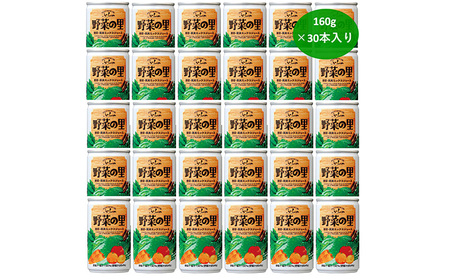 野菜ジュース 富良野産 野菜の里 ミックス 野菜ジュース【160g×30本入】