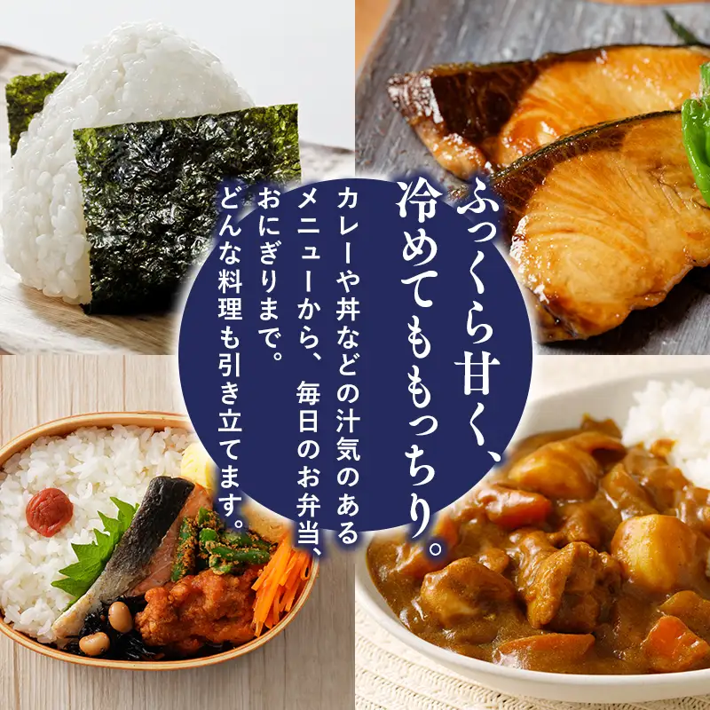 令和8年産 はれわたり白米 5kg [hi-0023-004]