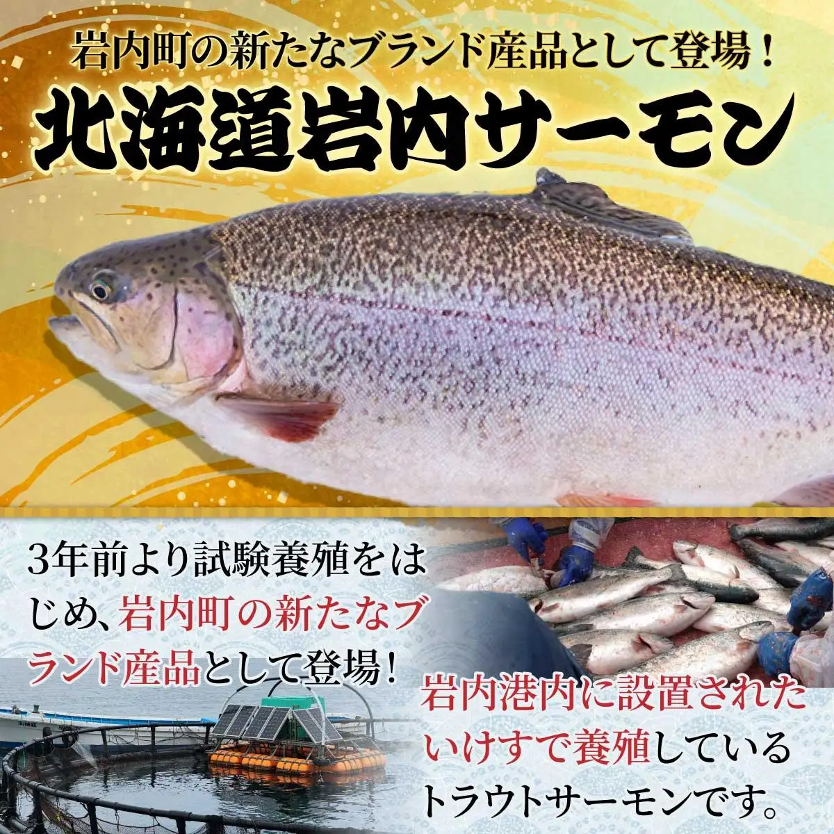 北海道岩内サーモン(刺身)350g（110g～130g×3）【020-a004】