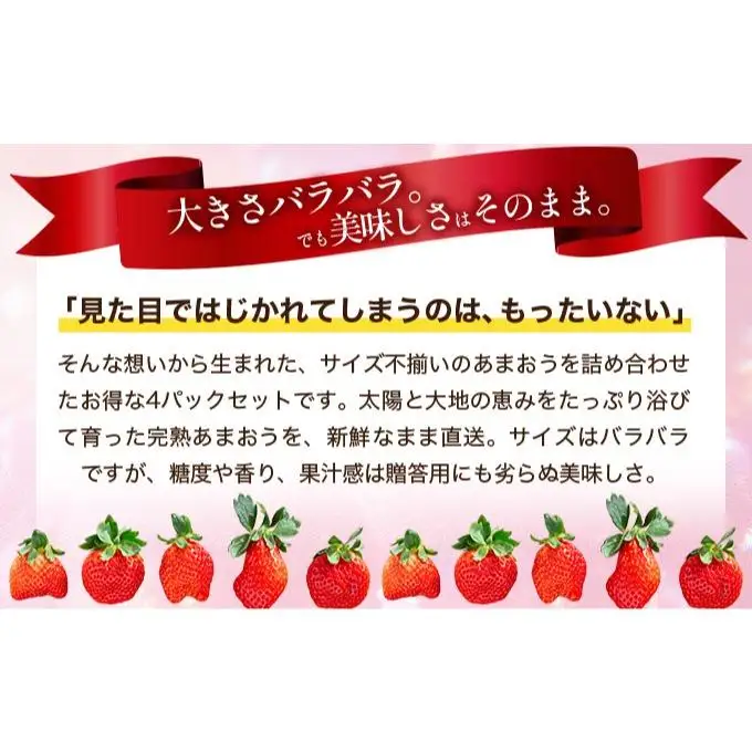 いちご 福岡県産 特別栽培 あまおう サイズいろいろMIX 約1140g（約285g×4パック）【3月発送】| 農園直送 アフター保証 先行予約 福岡産 送料無料 ケーキ ギフト お祝い 限定 季節限定 UN002