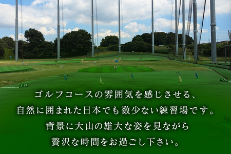 伊勢原ゴルフセンター 5千円分 ICカードチャージ券 ゴルフ練習場 [0404]