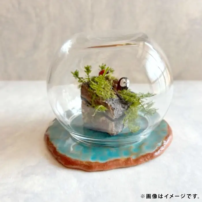 苔のしずく【 苔 こけ テラリウム 飾り インテリア お洒落 唯一無二 自然 】