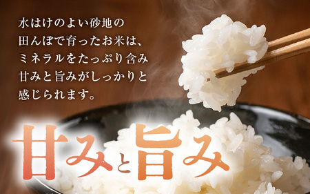 令和7年産 コシヒカリ 10kg（5kg✕2袋） 白米  【こめ お米 こしひかり 白米 5キロ 10キロ 精米 ブランド米 ふるさと納税米】 [m30-b001]