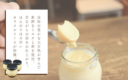 ほろ苦カラメル 贅沢 濃厚 大人 の カスタードプリン 瓶詰め 4個 昔ながらのプリン 手作り 濃厚プリン なめらかプリン ふるさと納税プリン スイーツ デザート お菓子 洋菓子 冷凍スイーツ 固めプリン 高知 四万十 しまんと 39210-150-0010