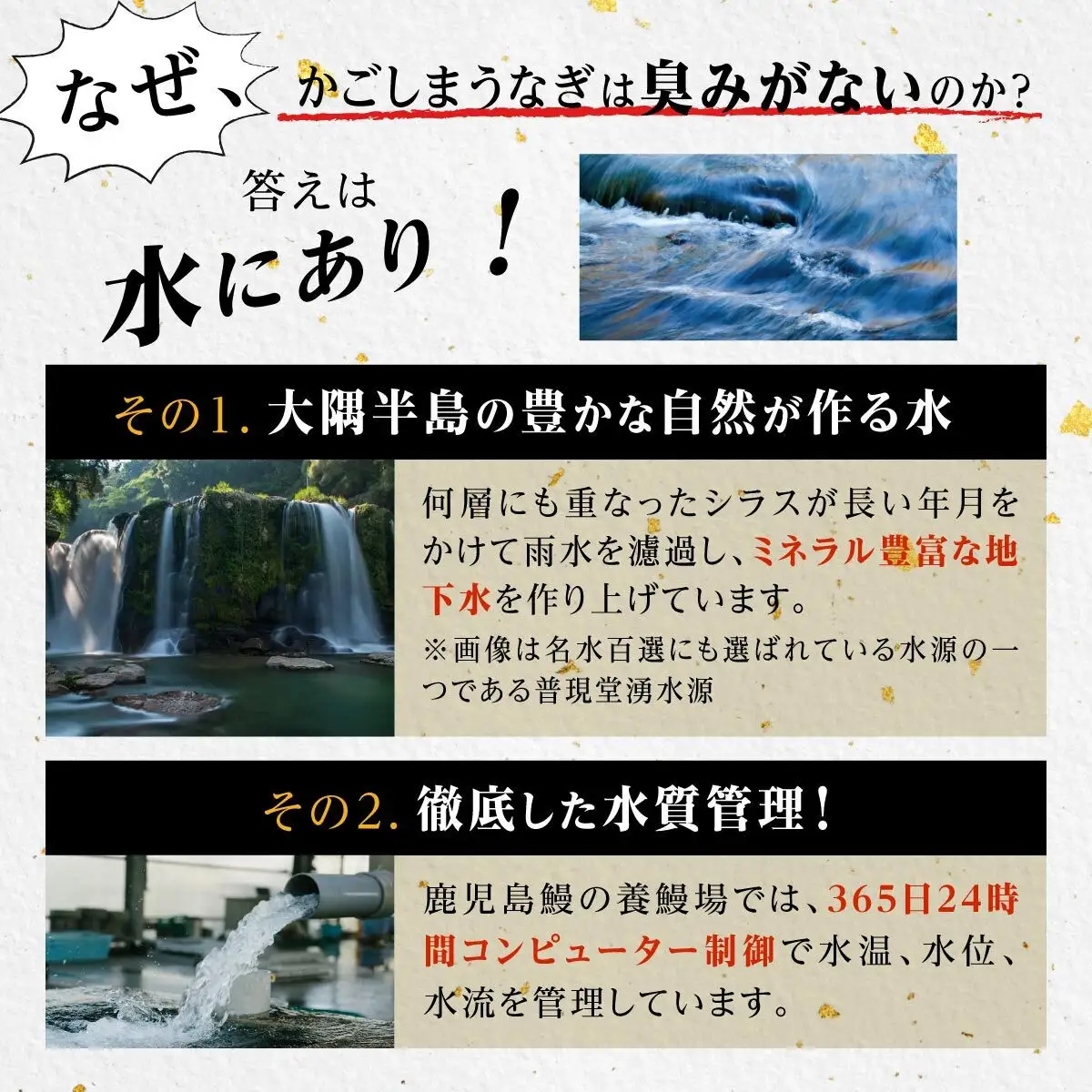 うなぎ 蒲焼 120g×1尾【鹿児島産】地下水で育てた絶品鰻｜うなぎ