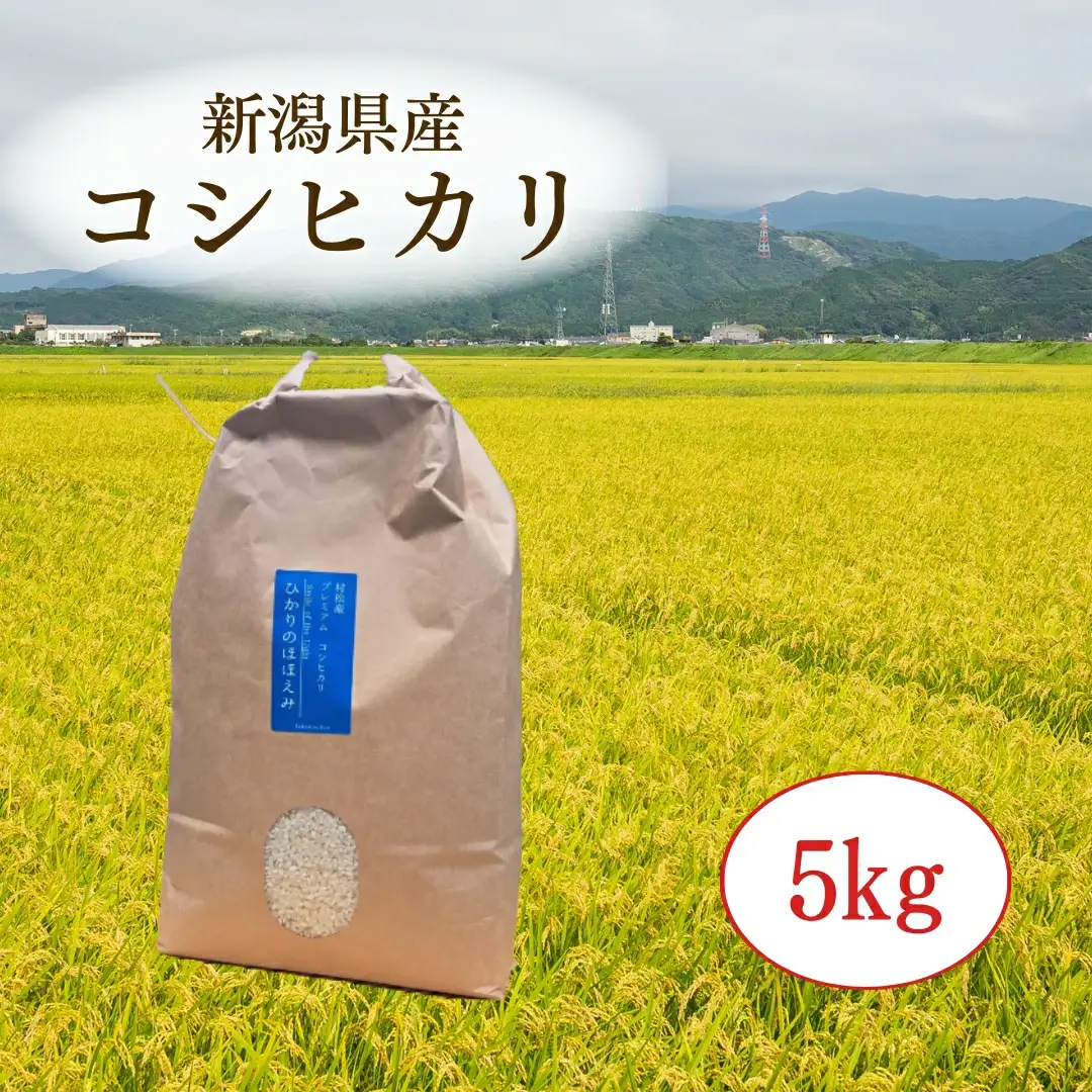 【6回定期便】令和7年産 コシヒカリ 5kg | コシヒカリ 白米 米 新潟県産 五泉市