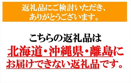 プルーン約800g（400g×2パック）【先行予約・2026年9月上旬～中旬発送】(北海道・沖縄・離島は配送不可)　サンプルーン 果物　フルーツ　くだもの　生プルーン　プルーン栽培発祥の地　信州　長野県　佐久市　産地直送　旬彩