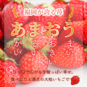 あまおう苺280g×2パック あまおう｜あまおう いちご TJI	【2月発送】																														 																あまおう苺																																			 																																																						