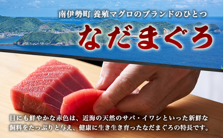 【本マグロ】 伊勢志摩産 「中トロ」 約410g