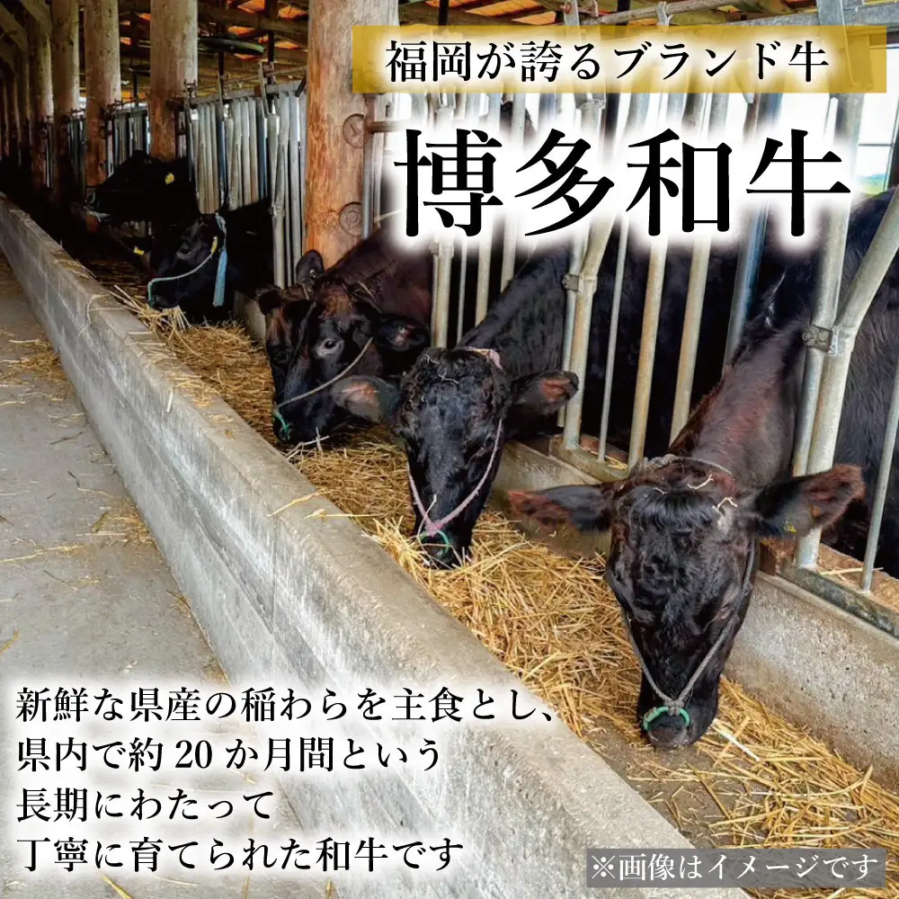 【セット】博多和牛A5ランク プレミアムハンバーグギフトセット 150g×8個入り