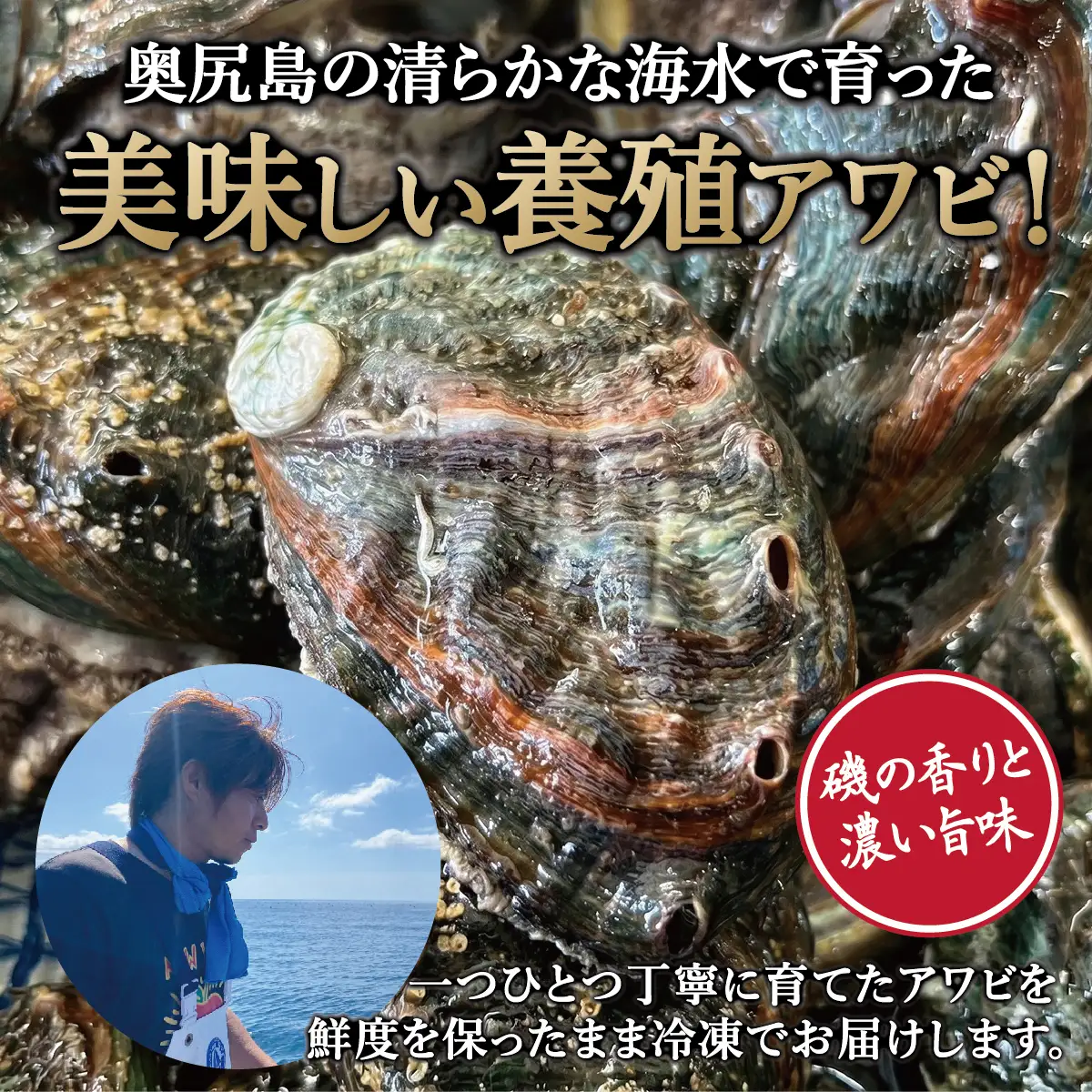 奥尻島産 冷凍 養殖アワビ (2個入り) 1個 約75mm | 新鮮 あわび アワビ 鮑 魚介 酒蒸し バター焼き 刺身 天ぷら グルメ お取り寄せ | 北海道 奥尻町 送料無料