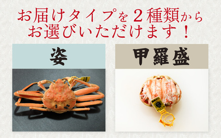 【先行予約】選べる！美味しさ直送【成前特選】 せいこがに（190g～220g）×3杯【11月～1月発送】 [E-028044] / せいこがに