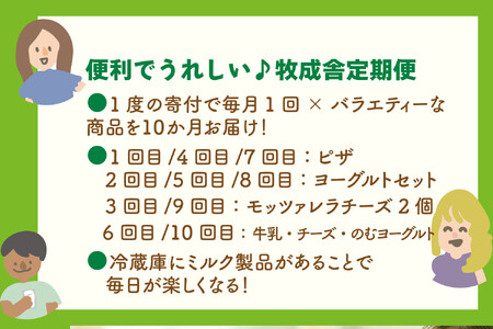 【全10回定期便】毎月お楽しみ10か月企画（ピザ・牛乳・チーズ・ヨーグルト）｜定期便DF234